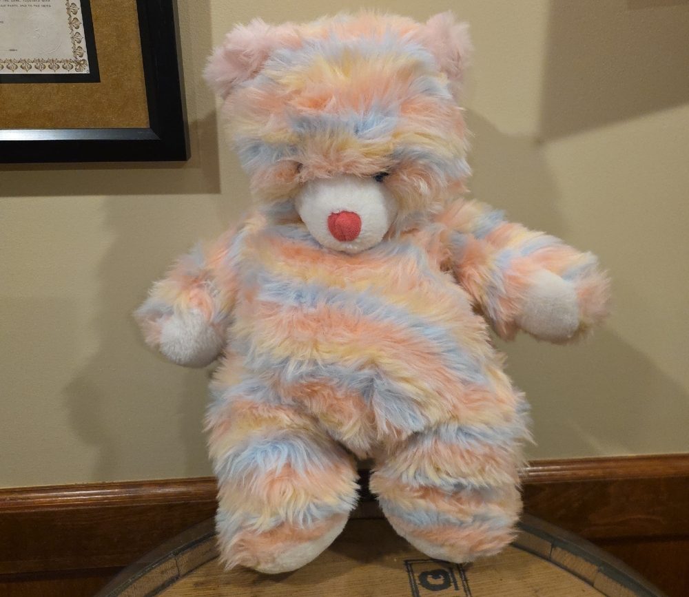 Colorful Plush Teddy Bear